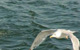 Image1small